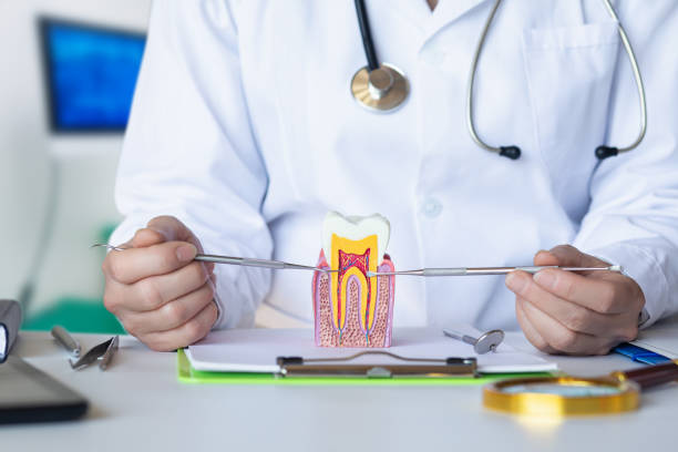 Best Broken or Chipped Tooth Repair in Fraser, CO